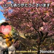 ののか Rest well!! 奥鉄オクテツ東京店（デリヘル市場）