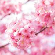 ののか 深くお詫び申し上げます 奥鉄オクテツ東京店（デリヘル市場）