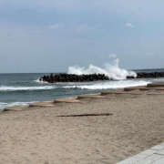 ヒメ日記 2025/03/18 11:50 投稿 りんな バイオレンス