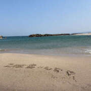 ヒメ日記 2025/03/21 15:15 投稿 りんな バイオレンス