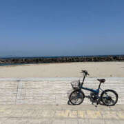 ヒメ日記 2025/03/22 11:55 投稿 りんな バイオレンス