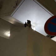 ヒメ日記 2025/04/10 22:06 投稿 りんな バイオレンス