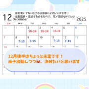 ヒメ日記 2025/11/15 16:15 投稿 りんな バイオレンス