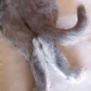 ヒメ日記 2026/01/29 13:55 投稿 かえで 佐世保人妻デリヘル「デリ夫人」