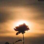 ヒメ日記 2026/02/23 08:13 投稿 かえで 佐世保人妻デリヘル「デリ夫人」