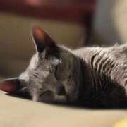 ヒメ日記 2026/03/01 09:09 投稿 かえで 佐世保人妻デリヘル「デリ夫人」