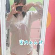 ヒメ日記 2024/12/11 21:11 投稿 宮内 れんげ しゃせきょっ!XX教育される制服女子たち