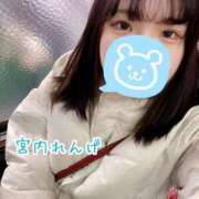 ヒメ日記 2024/12/15 12:06 投稿 宮内 れんげ しゃせきょっ!XX教育される制服女子たち