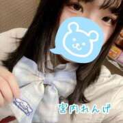 ヒメ日記 2025/02/03 00:08 投稿 宮内 れんげ しゃせきょっ!XX教育される制服女子たち