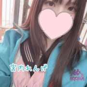 ヒメ日記 2025/06/01 20:47 投稿 宮内 れんげ しゃせきょっ!XX教育される制服女子たち