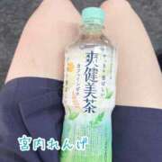 ヒメ日記 2025/06/01 23:30 投稿 宮内 れんげ しゃせきょっ!XX教育される制服女子たち