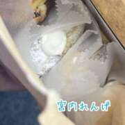 ヒメ日記 2025/06/07 14:59 投稿 宮内 れんげ しゃせきょっ!XX教育される制服女子たち