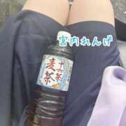 ヒメ日記 2025/06/29 03:50 投稿 宮内 れんげ しゃせきょっ!XX教育される制服女子たち