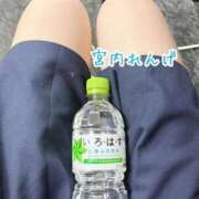 ヒメ日記 2025/08/05 00:19 投稿 宮内 れんげ しゃせきょっ!XX教育される制服女子たち