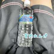 ヒメ日記 2025/08/11 02:56 投稿 宮内 れんげ しゃせきょっ!XX教育される制服女子たち