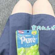 ヒメ日記 2025/08/31 01:21 投稿 宮内 れんげ しゃせきょっ!XX教育される制服女子たち