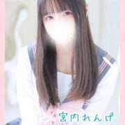 ヒメ日記 2025/12/02 19:12 投稿 宮内 れんげ しゃせきょっ!XX教育される制服女子たち