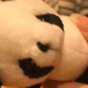 ヒメ日記 2025/12/31 11:19 投稿 宮内 れんげ しゃせきょっ!XX教育される制服女子たち