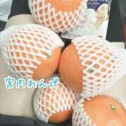 ヒメ日記 2026/01/09 16:50 投稿 宮内 れんげ しゃせきょっ!XX教育される制服女子たち