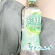 ヒメ日記 2026/01/10 19:13 投稿 宮内 れんげ しゃせきょっ!XX教育される制服女子たち