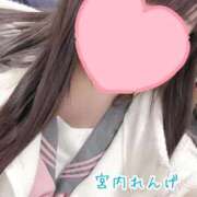 ヒメ日記 2026/02/12 00:19 投稿 宮内 れんげ しゃせきょっ!XX教育される制服女子たち