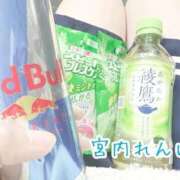 ヒメ日記 2026/02/16 02:46 投稿 宮内 れんげ しゃせきょっ!XX教育される制服女子たち