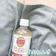 ヒメ日記 2026/02/20 03:09 投稿 宮内 れんげ しゃせきょっ!XX教育される制服女子たち