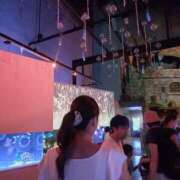 ヒメ日記 2025/09/01 10:06 投稿 まひろ 横浜人妻花壇本店