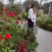 ヒメ日記 2025/10/30 10:43 投稿 まひろ 横浜人妻花壇本店