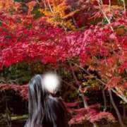 ヒメ日記 2025/12/20 11:33 投稿 椿【ツバキ】 LOVEキタ兎我野店