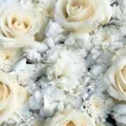 ヒメ日記 2024/12/25 00:54 投稿 きょうか 錦糸町 夜這右衛門娼店～夜這・即尺・痴漢・人妻～