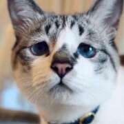 ヒメ日記 2025/02/06 13:49 投稿 きょうか 錦糸町 夜這右衛門娼店～夜這・即尺・痴漢・人妻～