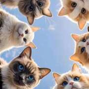 ヒメ日記 2025/02/16 21:35 投稿 きょうか 錦糸町 夜這右衛門娼店～夜這・即尺・痴漢・人妻～