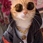 ヒメ日記 2025/02/17 10:15 投稿 きょうか 錦糸町 夜這右衛門娼店～夜這・即尺・痴漢・人妻～