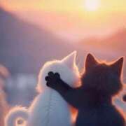 ヒメ日記 2025/02/20 00:44 投稿 きょうか 錦糸町 夜這右衛門娼店～夜這・即尺・痴漢・人妻～