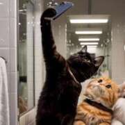 ヒメ日記 2025/05/19 14:38 投稿 きょうか 錦糸町 夜這右衛門娼店～夜這・即尺・痴漢・人妻～