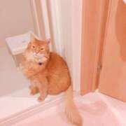 ヒメ日記 2025/06/03 19:23 投稿 きょうか 錦糸町 夜這右衛門娼店～夜這・即尺・痴漢・人妻～