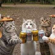 ヒメ日記 2025/06/24 14:22 投稿 きょうか 錦糸町 夜這右衛門娼店～夜這・即尺・痴漢・人妻～