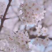 ヒメ日記 2026/04/06 11:45 投稿 はずき Charme（シャルム）