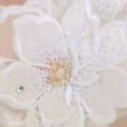 ヒメ日記 2025/03/16 21:46 投稿 二宮ももか ABC 岩手ソープ