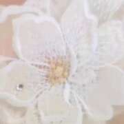 ヒメ日記 2025/03/20 13:01 投稿 二宮ももか ABC 岩手ソープ