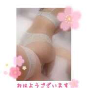 ヒメ日記 2025/04/23 05:31 投稿 二宮ももか ABC 岩手ソープ