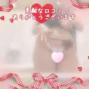 ヒメ日記 2025/11/07 21:46 投稿 二宮ももか ABC 岩手ソープ