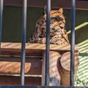 ヒメ日記 2025/01/13 11:44 投稿 みさき 美熟女倶楽部Hip's 春日部店