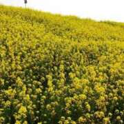 ヒメ日記 2025/08/01 10:44 投稿 みさき 美熟女倶楽部Hip's 春日部店