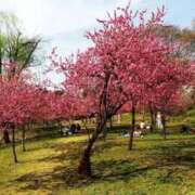 ヒメ日記 2025/09/15 19:34 投稿 みさき 美熟女倶楽部Hip's 春日部店