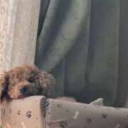 ヒメ日記 2026/01/10 19:33 投稿 みさき 美熟女倶楽部Hip's 春日部店