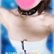 ヒメ日記 2025/06/01 18:25 投稿 ゆず 奥様クラブ