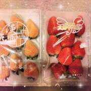 ヒメ日記 2025/04/09 20:08 投稿 ゆり 川越おかあさん