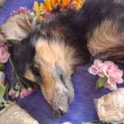 ヒメ日記 2025/10/29 20:12 投稿 柊 れいか ユニティ神戸西・明石 人妻熟女